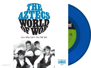 Aztegs ,The - World Of Woe / Why Can't You Tell Me ( limited )
